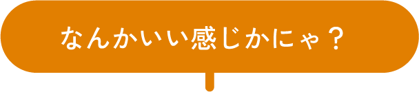 なんかいい感じかにゃ？