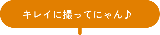 あなたらしさの世界観を演出!